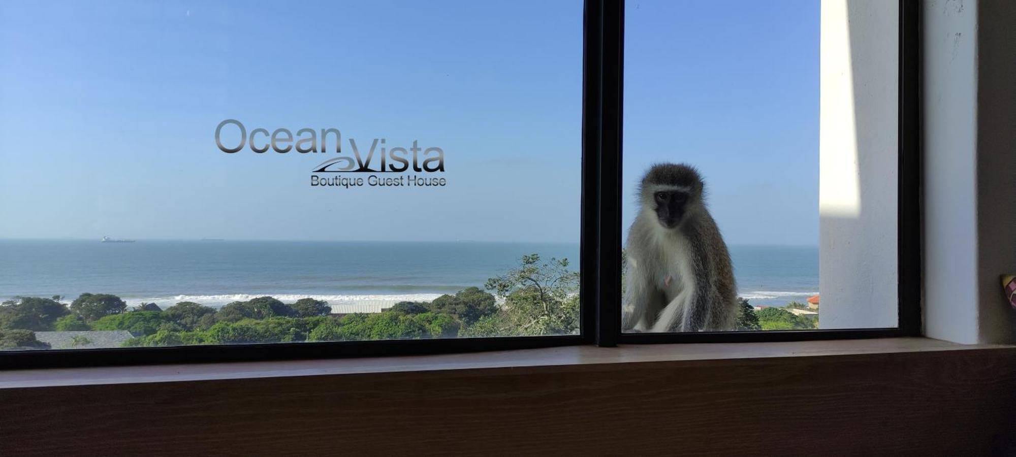 Ocean Vista Boutique Guest House Durban Luaran gambar
