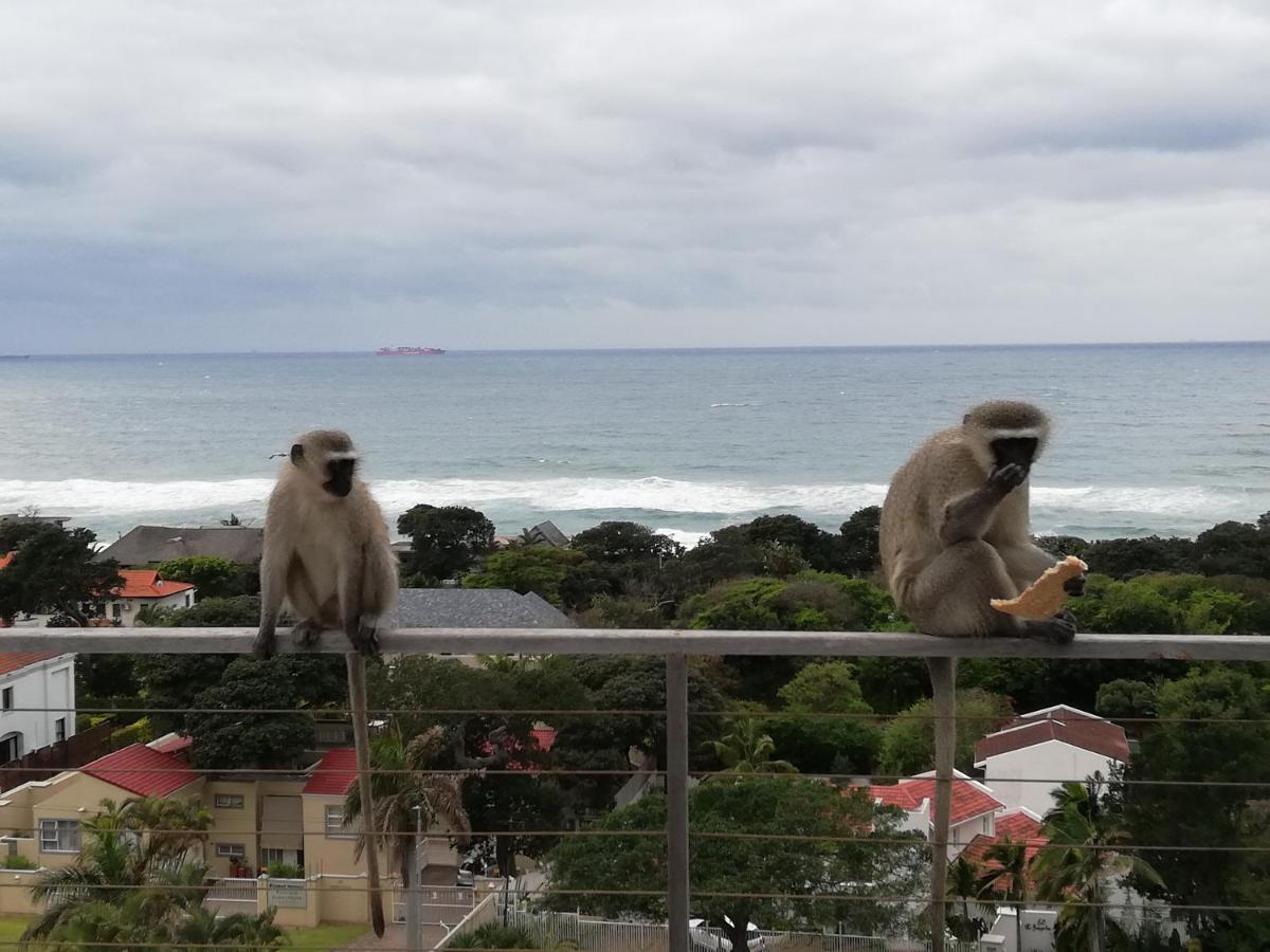 Ocean Vista Boutique Guest House Durban Luaran gambar